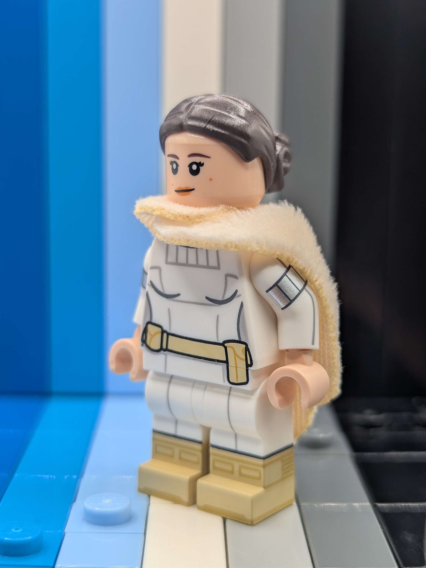 Protected Senator Version B