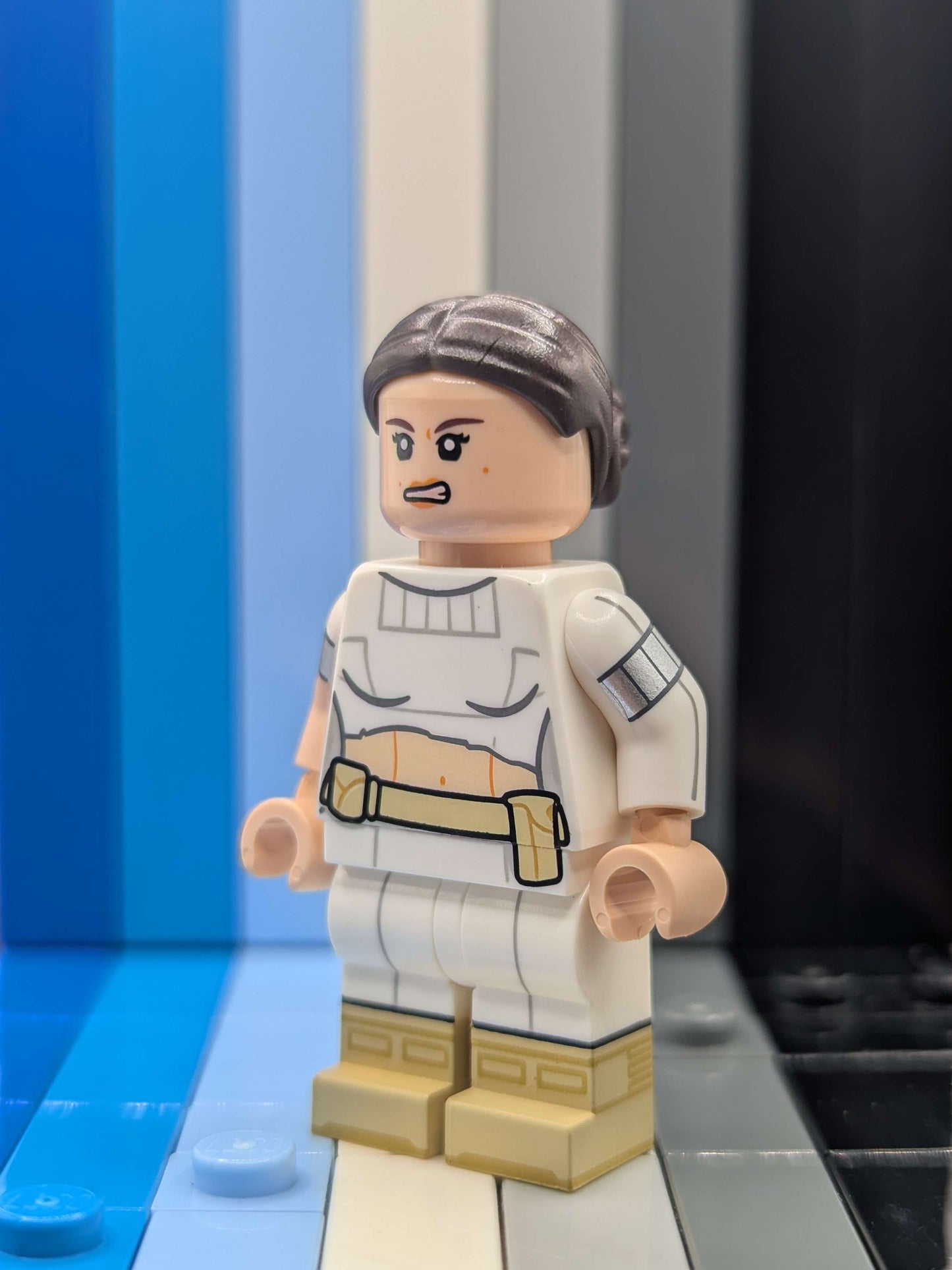 Protected Senator Version B
